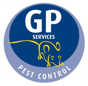 GP Services - Logo Design